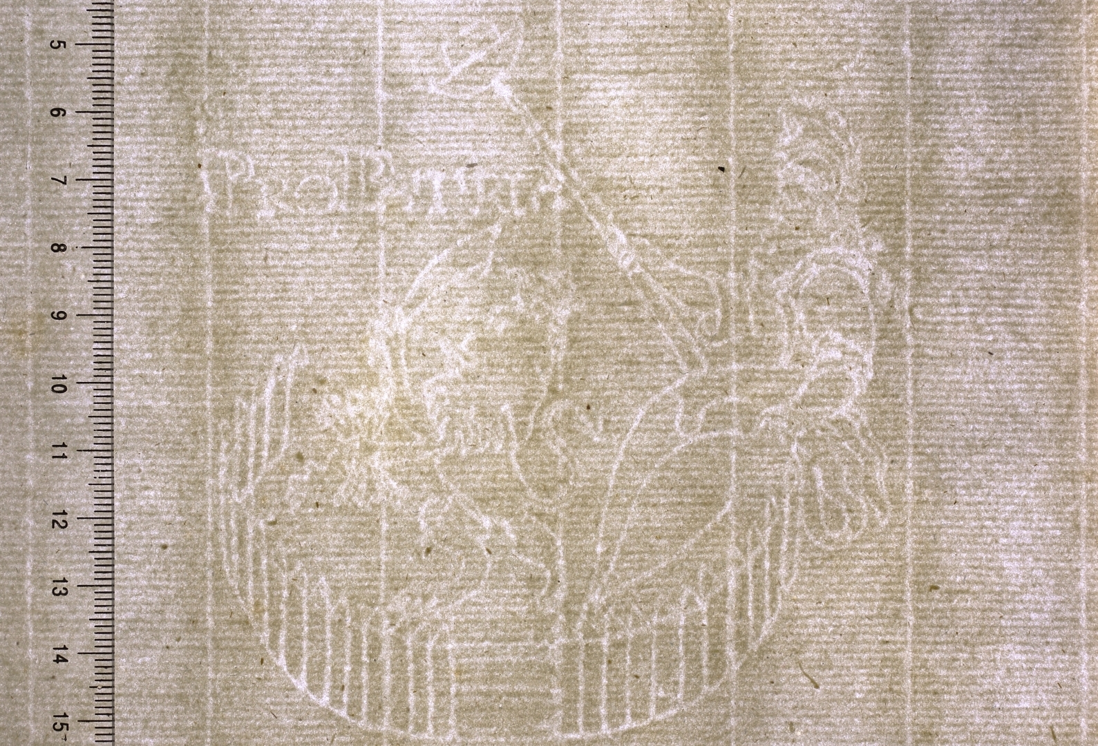 Krāsaina bilde, LNA Dokumentu preventīvās saglabāšanas departamenta direktore Inga Šteingolde uzstājas ar referātu „Paper on the Road to Riga”  Starptautiskajā papīra vēsturnieku asociācijas 38. kongresā Amsterdamā