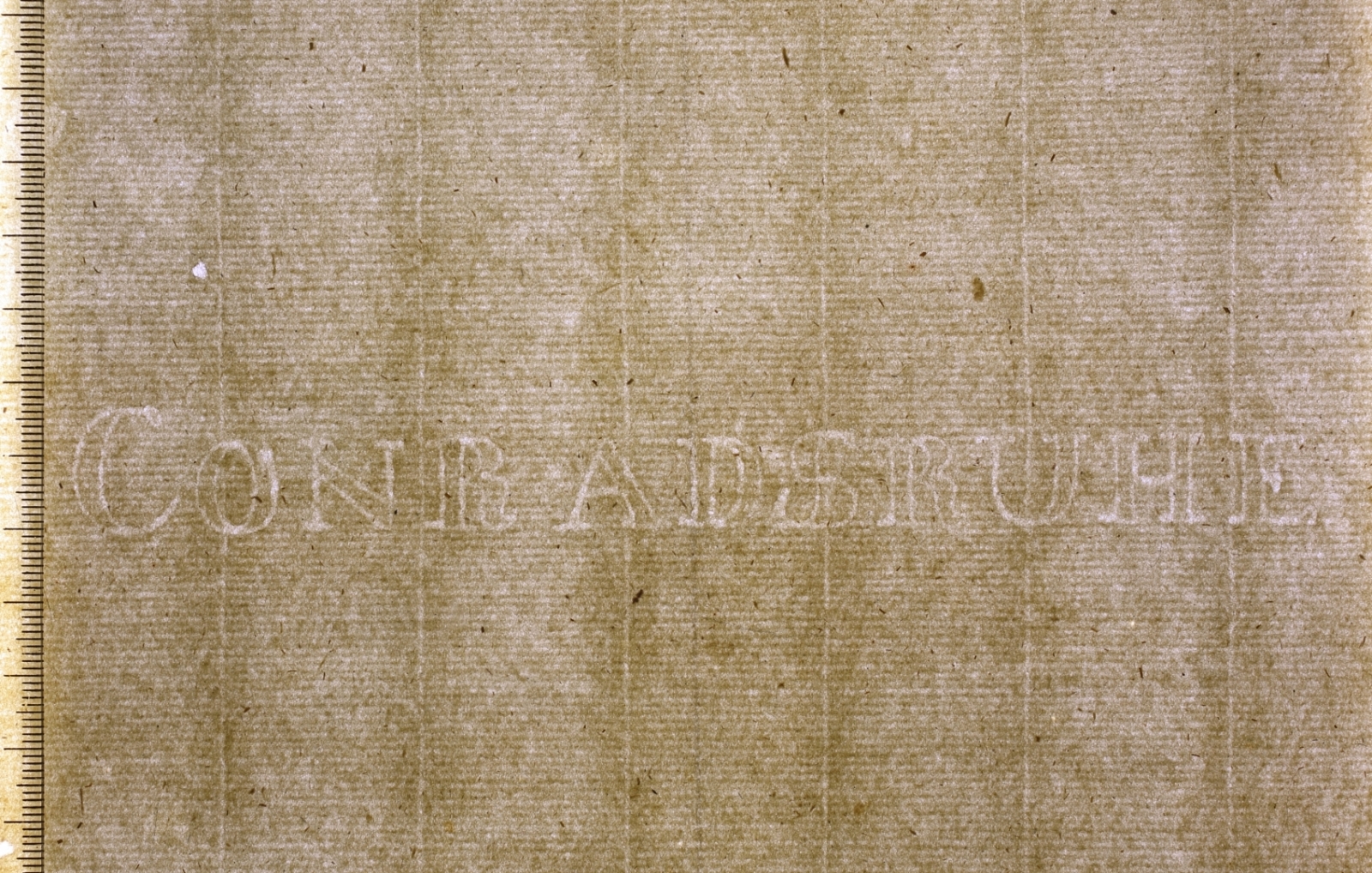 Krāsaina bilde, LNA Dokumentu preventīvās saglabāšanas departamenta direktore Inga Šteingolde uzstājas ar referātu „Paper on the Road to Riga”  Starptautiskajā papīra vēsturnieku asociācijas 38. kongresā Amsterdamā