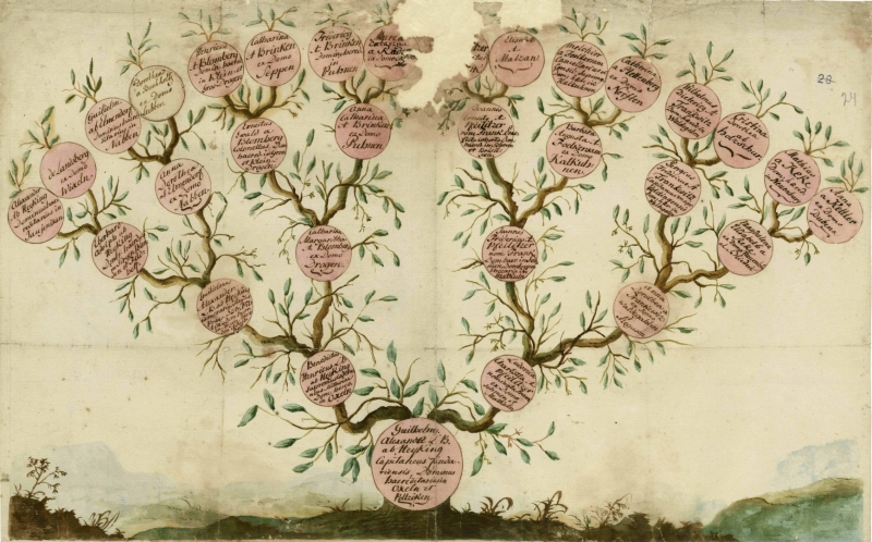 Krāsaina bilde, dzimtas koka zīmēts attēls, vēsturisks dokuments