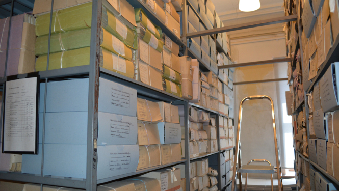 Krāsiana bilde, LNA krātuve, plaukti, glabājamās vienības, trepes