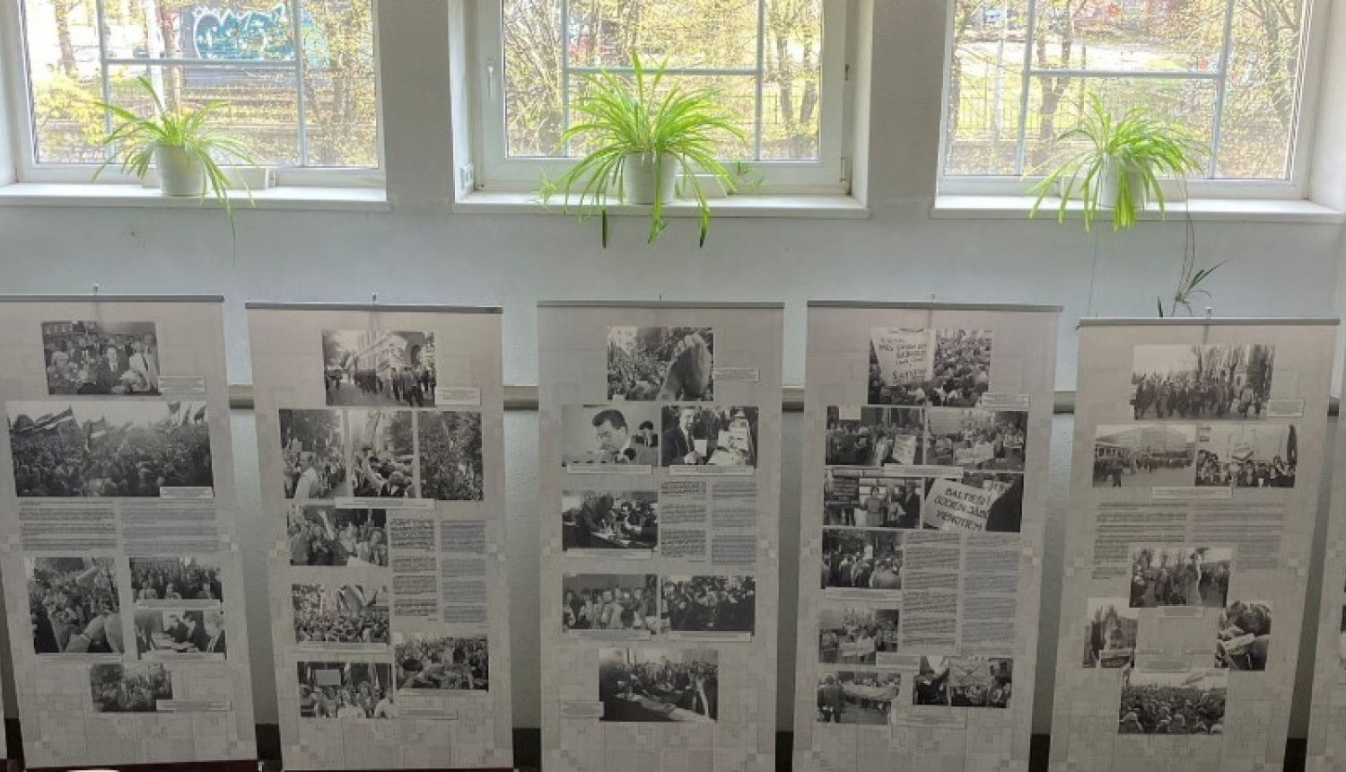 Krāsaina bilde, izstādes stendu rinda skolas vestibilā