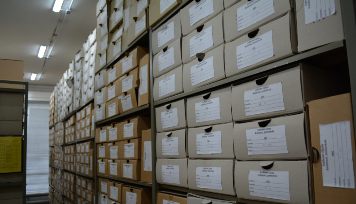 Krāsaina bilde, Alūksnes ZVA krātuve