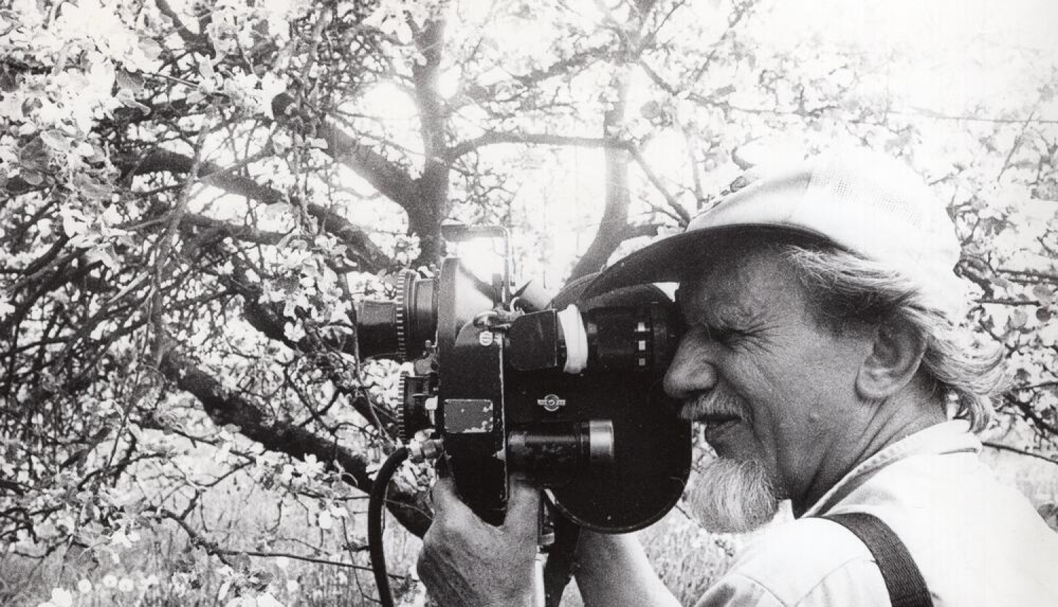 Melnbalta bilde, Kinorežisors, operators Ivars Seleckis filmē ziedošā dārzā. Portrets. Latvija, 20.gs. 70. – 80. gadi. Autors Aivars Dambekalns. Latvijas Valsts kinofotofonodokumentu arhīvs, LNA_KFFDA_F175_2_200