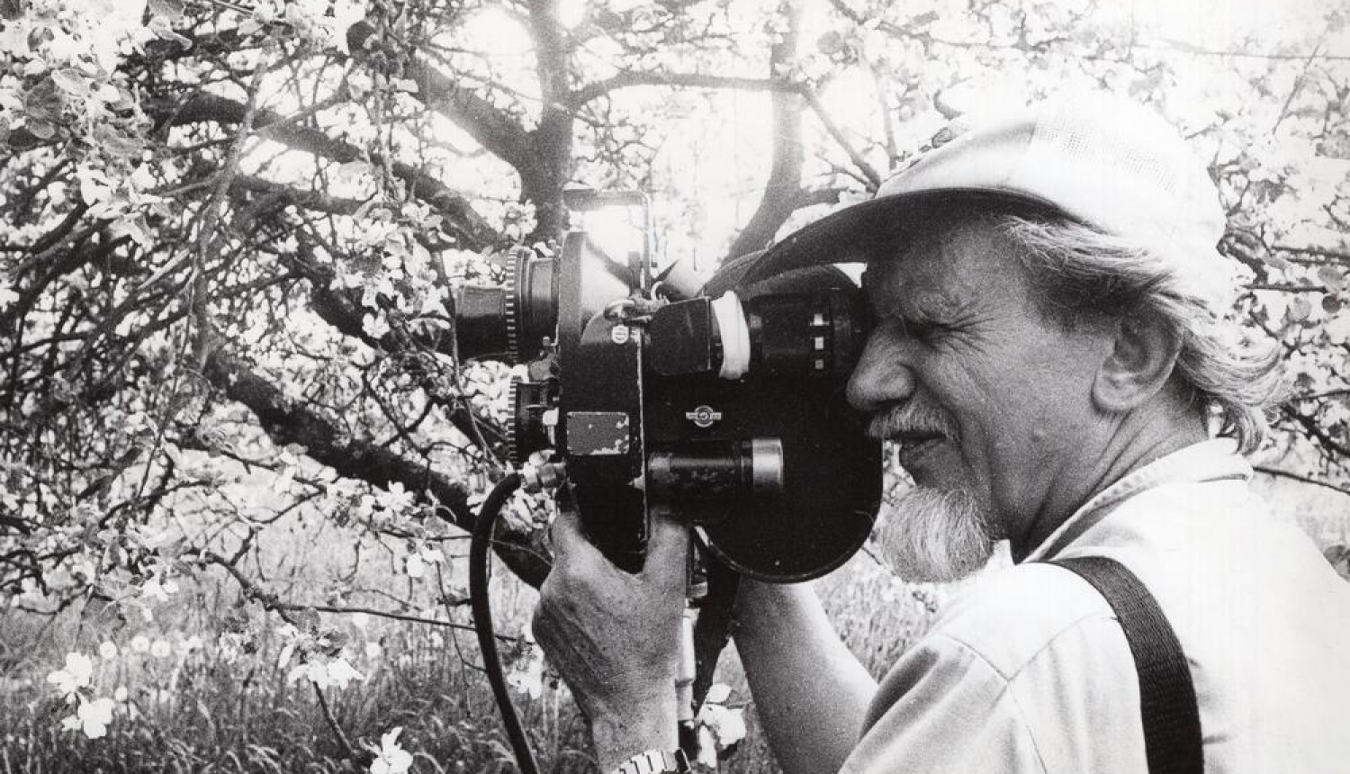Melnbalta bilde, Kinorežisors, operators Ivars Seleckis filmē ziedošā dārzā. Portrets. Latvija, 20.gs. 70. – 80. gadi. Autors Aivars Dambekalns. Latvijas Valsts kinofotofonodokumentu arhīvs, LNA_KFFDA_F175_2_200
